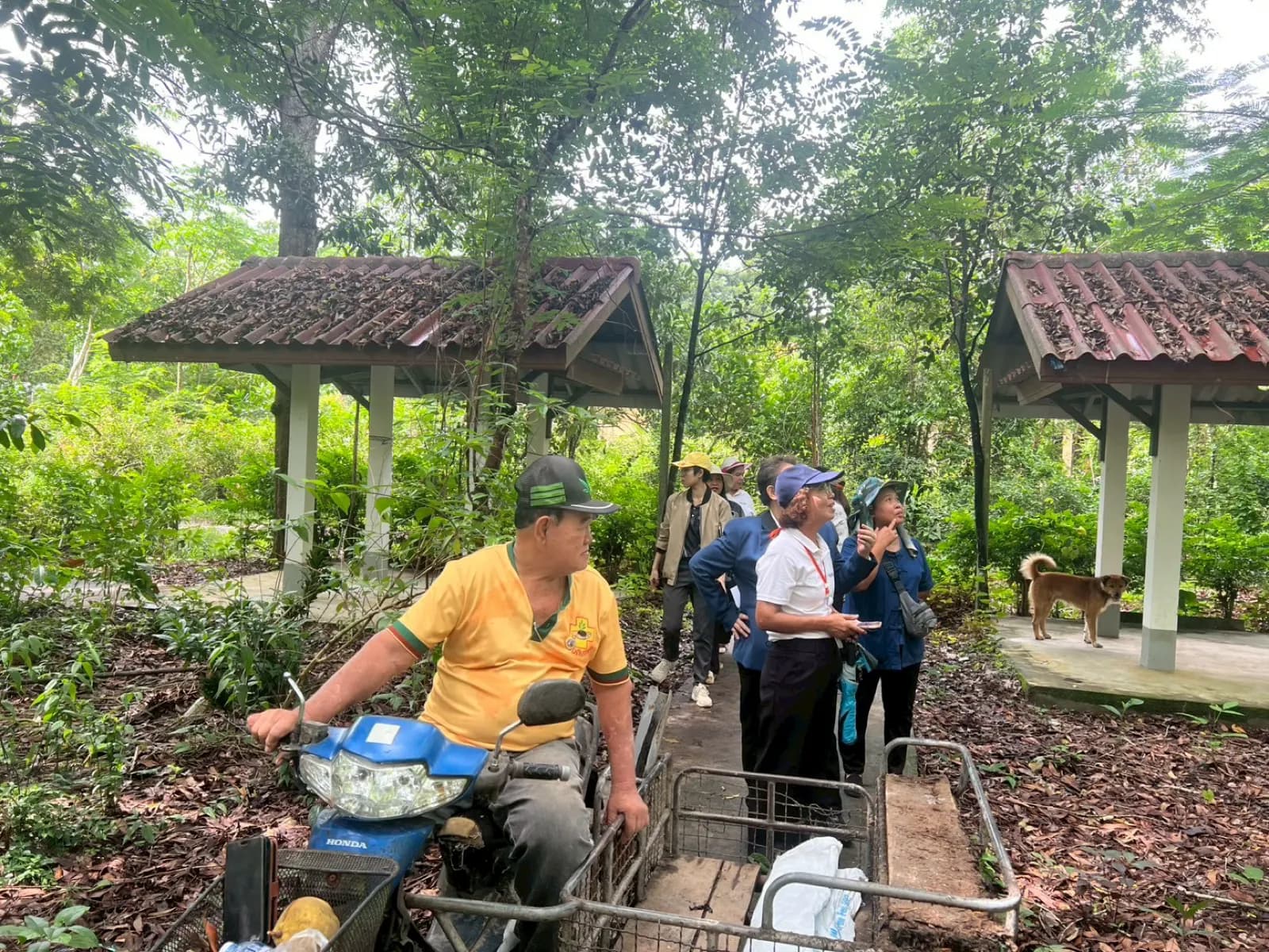 ภาพจากกิจกรรมครั้งที่ 2 สัมภาษณ์ปราชญ์ชาวบ้านและจัดทำฐานข้อมูลสมุนไพรท้องถิ่น